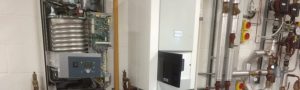 Sound Heating Commercial Boiler Servicing - Plant Room Pipe Work Dual Boilers Photo